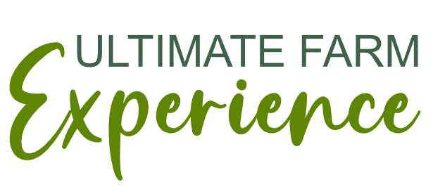 drakensberg family resort