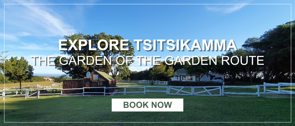 central drakensberg accommodation champagne castle hotel and resort 